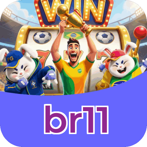 Interface br11